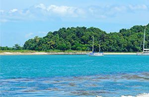 Singapore Islands