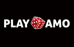 Bitcoin casino - Playamo