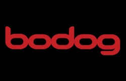 Bodog casino