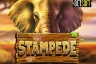 Online Slots - Stampede