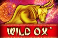 Online Slots - Wild Ox