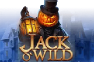 Online Slot SG - Jack O' Wild